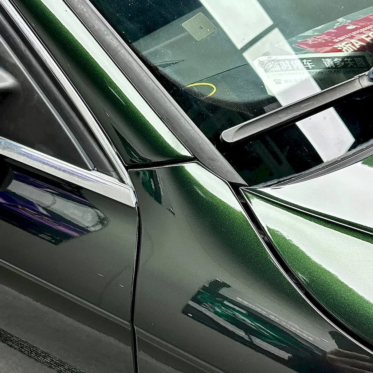 blackish green vinyl car wrap