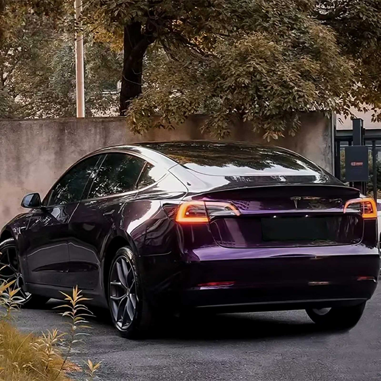 venetian purple car wrap on a vehicle