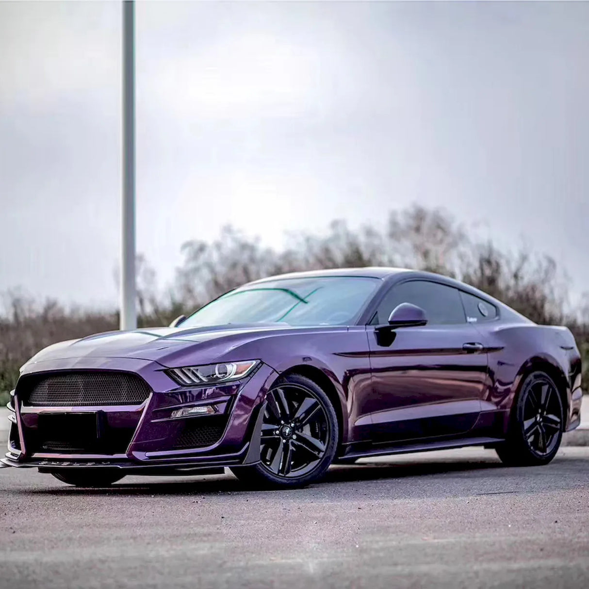 purple car wrap